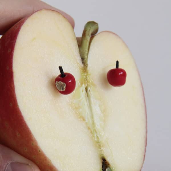 Pendientes de plata Manzanas rojas