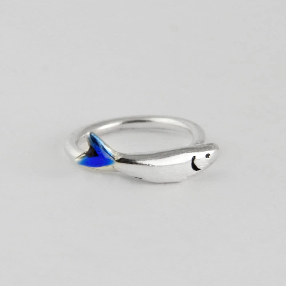 Silver ring sardine
