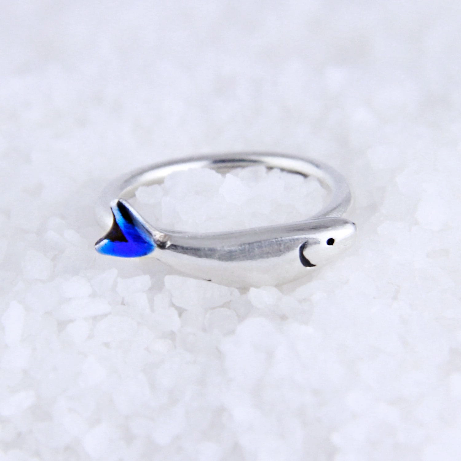 Silver ring sardine