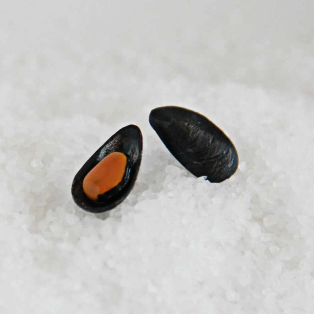 Pendientes de plata Mejillón