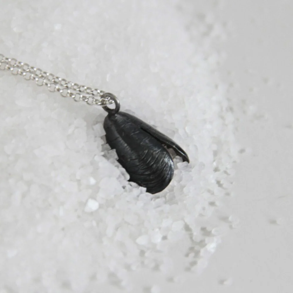 Silver choker mussel