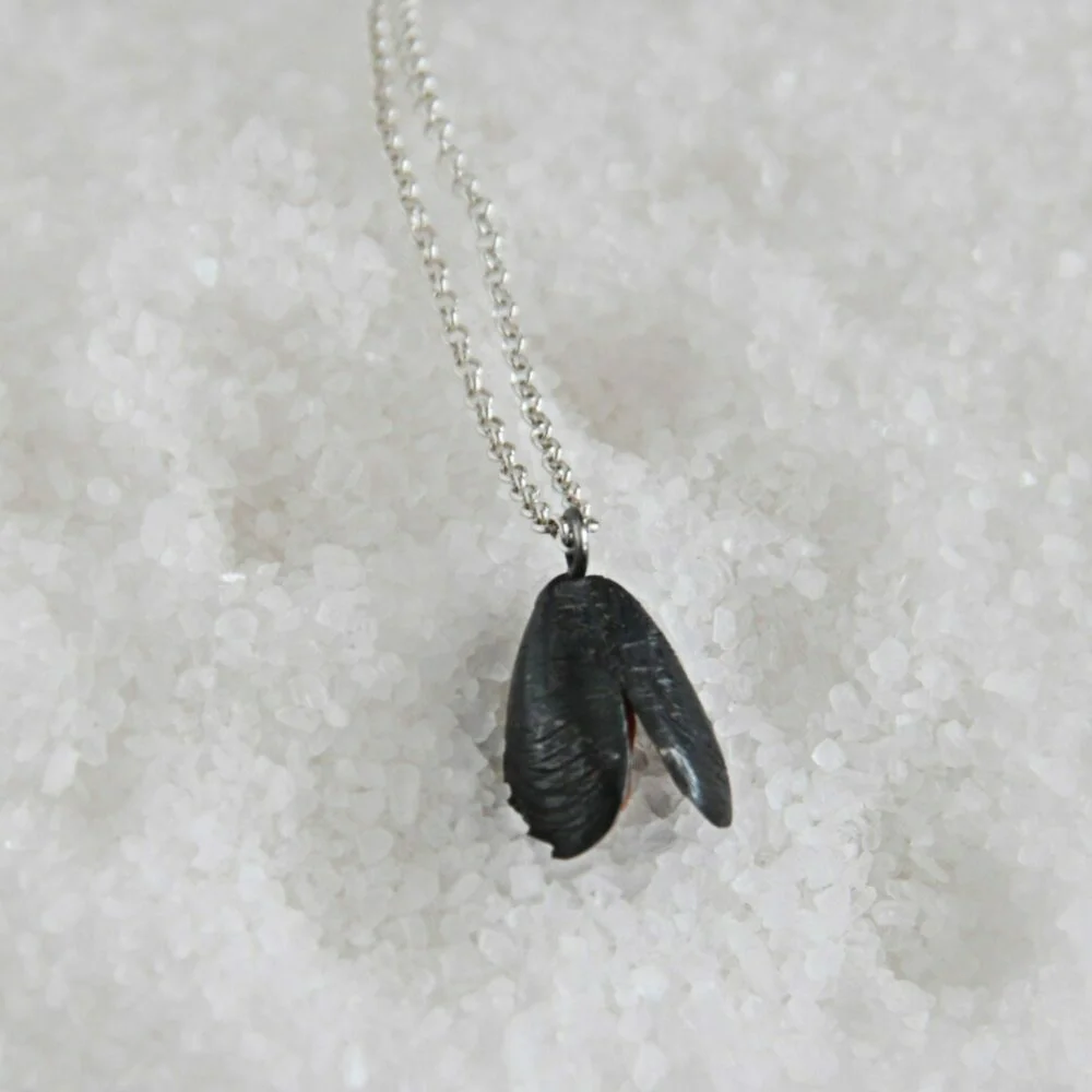 Silver choker mussel