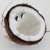 Silver hoop earrings, coconut