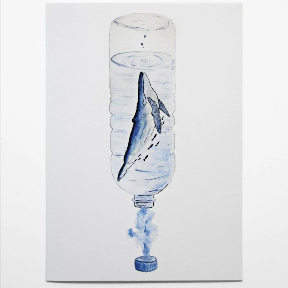 Ilustración Ballena en Botella