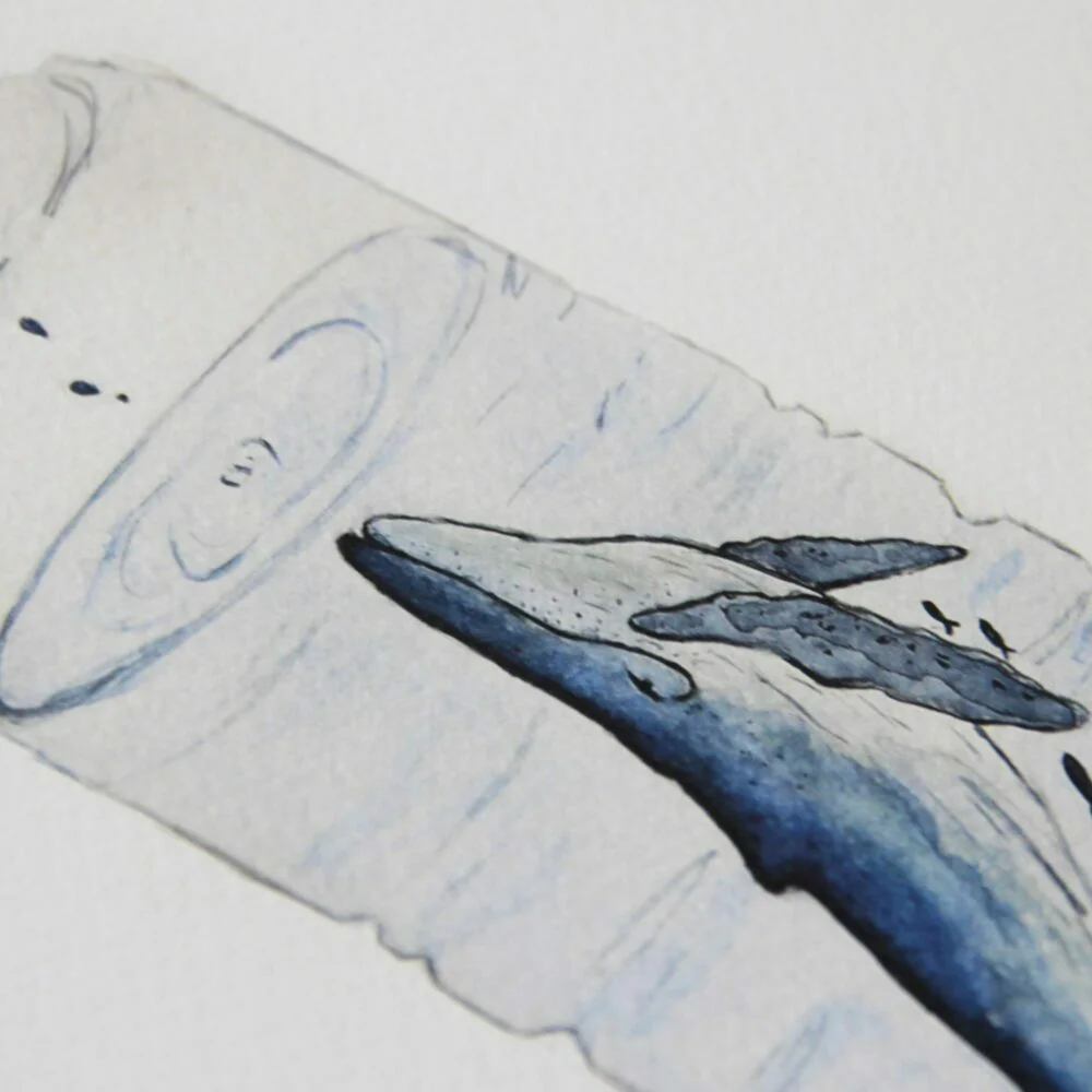 Ilustración Ballena en Botella