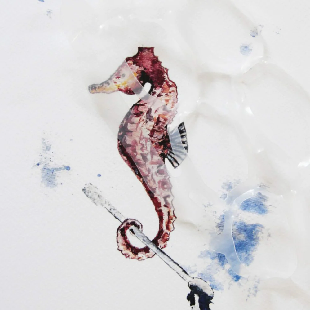 Ilustración caballito de mar bastoncillo - Vacía La Nevera Ilustración caballito de mar bastoncillo